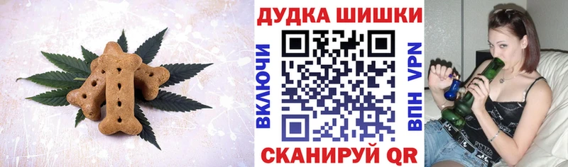 где купить наркоту  Славгород  Cannafood конопля 