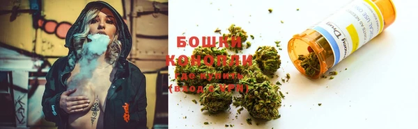 ECSTASY Киров