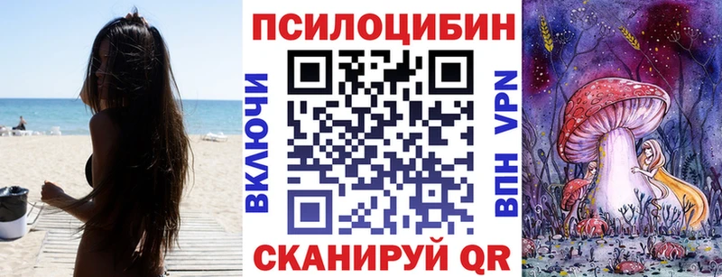 Псилоцибиновые грибы мицелий  Славгород 