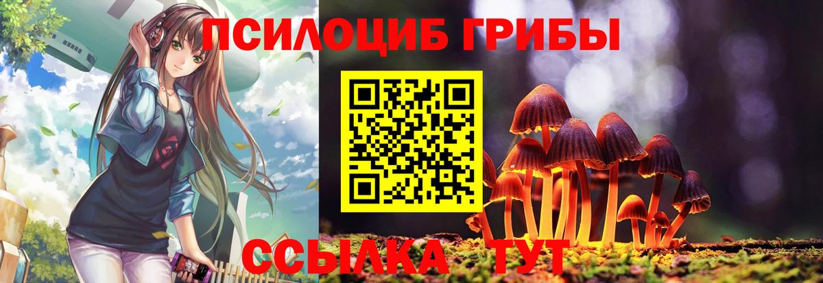Славгород  Псилоцибиновые грибы прущие грибы  Галлюциногенные грибы прущие грибы  Вход с VPN 