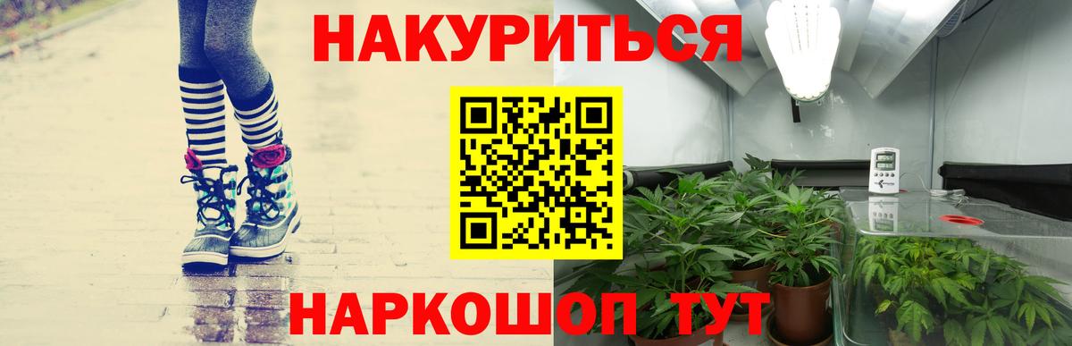 Бошки Шишки план Славгород